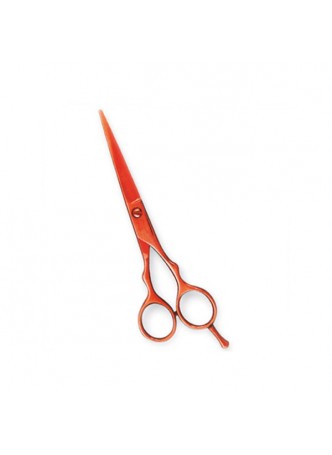 Professional Hair Cutting Scissors